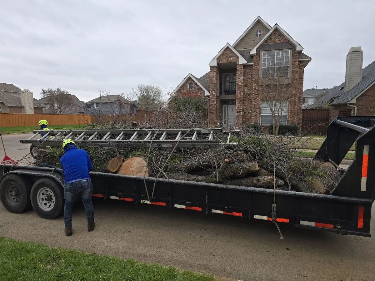 Expert Tree Pest Control with proper safety equipment in Deep Gap